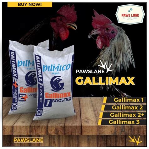 Gallimax 2 Developer .